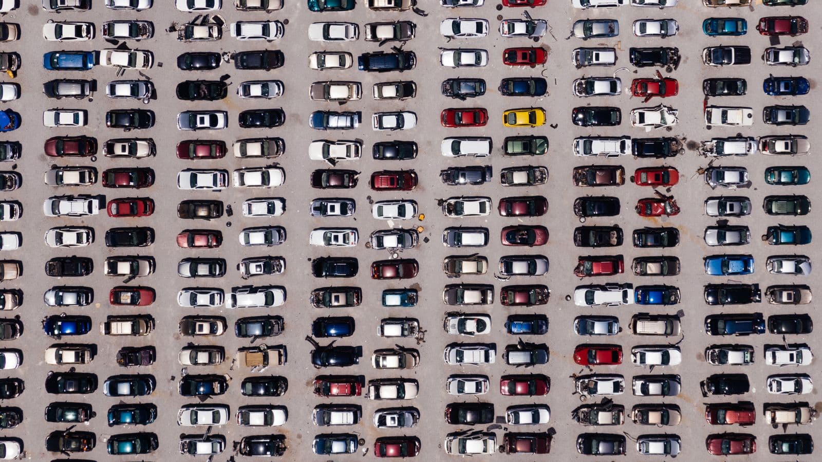 Salvage Auction Vehicles: What Buyers Should Know Before Bidding